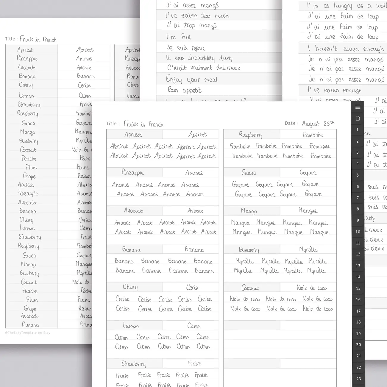 Embrace digital organization with our Digital Notebook, tailored for Type A personalities. With 31 hyperlinked tabs and 195 iPad note-taking paper templates, it's a productivity powerhouse. Master a new language with dedicated templates for vocabulary and expressions.