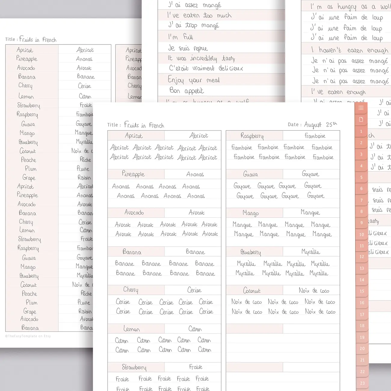 Elevate your Type A personality's digital note-taking game with our Digital Notebook. Featuring 31 hyperlinked tabs and 195 iPad note-taking paper templates, it's a productivity powerhouse. Learn a new language with dedicated templates for vocabulary and expressions.