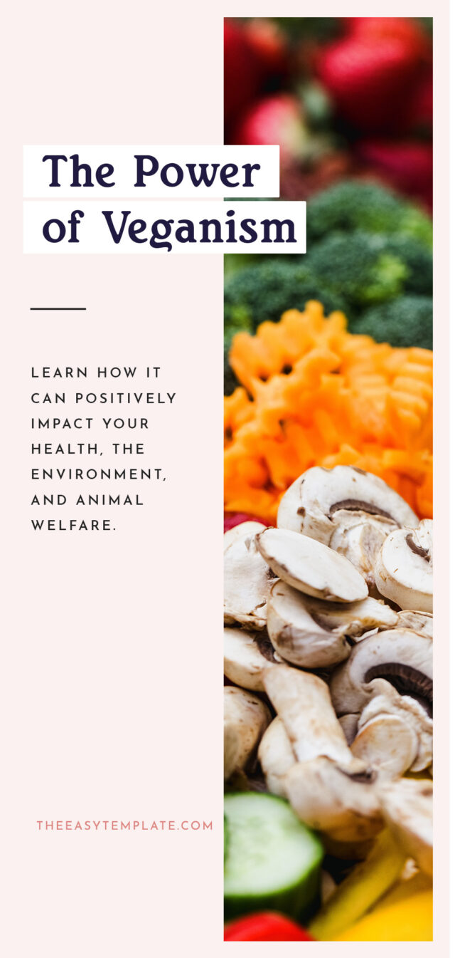 The Ultimate Vegan Diet Guide for Beginners